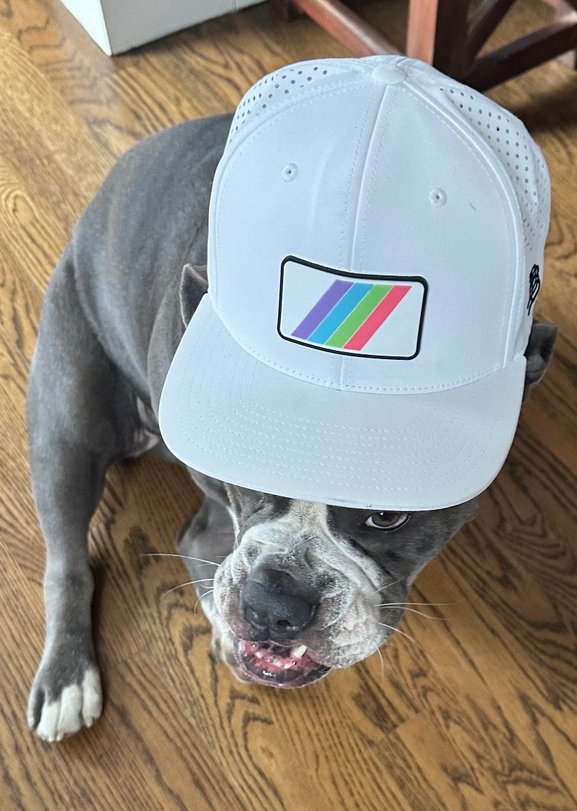 VIVA Snap Back